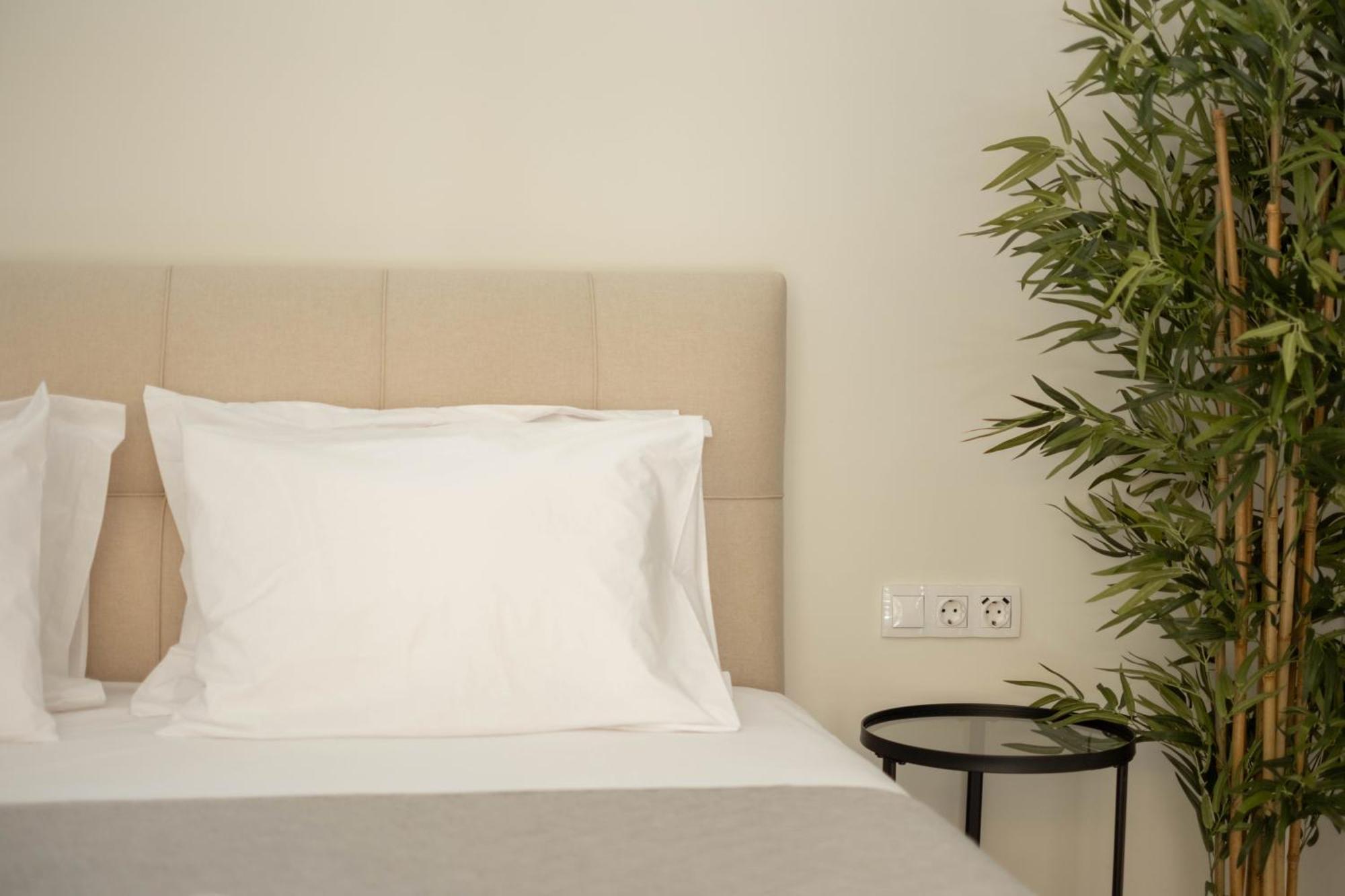 Living Culture Apartments 雅典 外观 照片