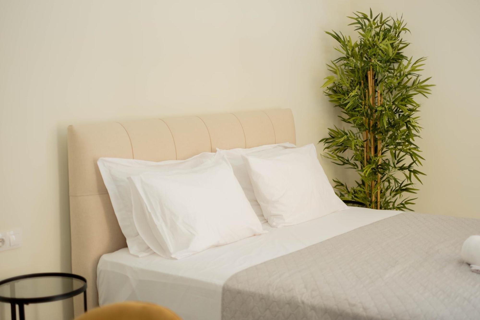 Living Culture Apartments 雅典 外观 照片